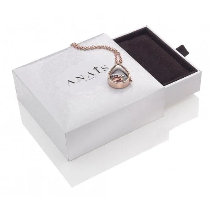 Hot Diamonds Anais Sterling Silver December Charm AC032